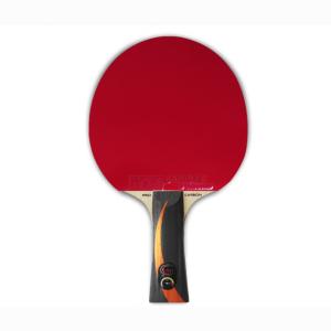 Купить Теннисная ракетка Gambler x fast carbon X3D в Щиграх 